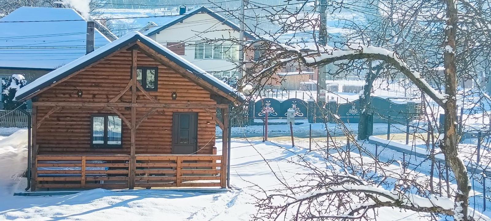 Casuta Adelina Borsa Villa Bagian luar foto