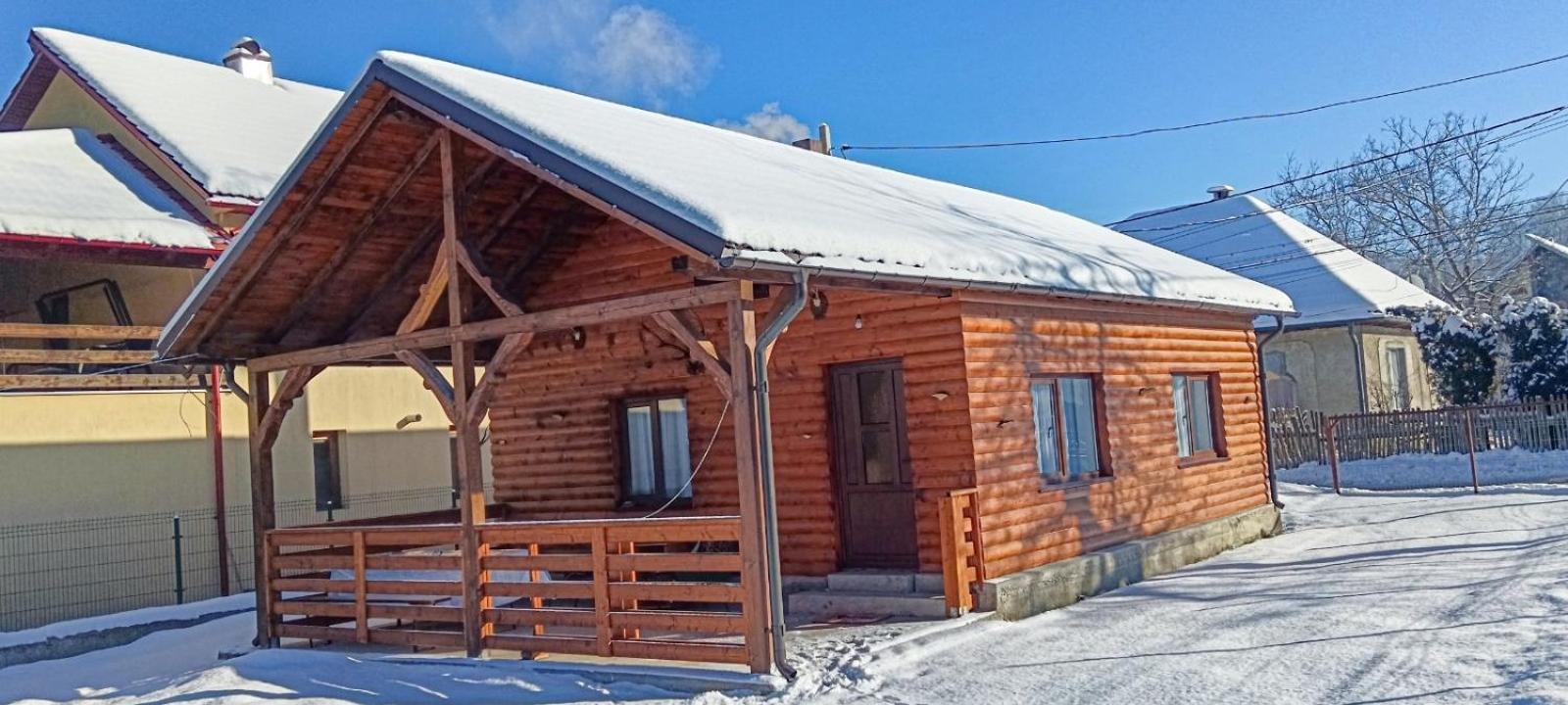 Casuta Adelina Borsa Villa Bagian luar foto