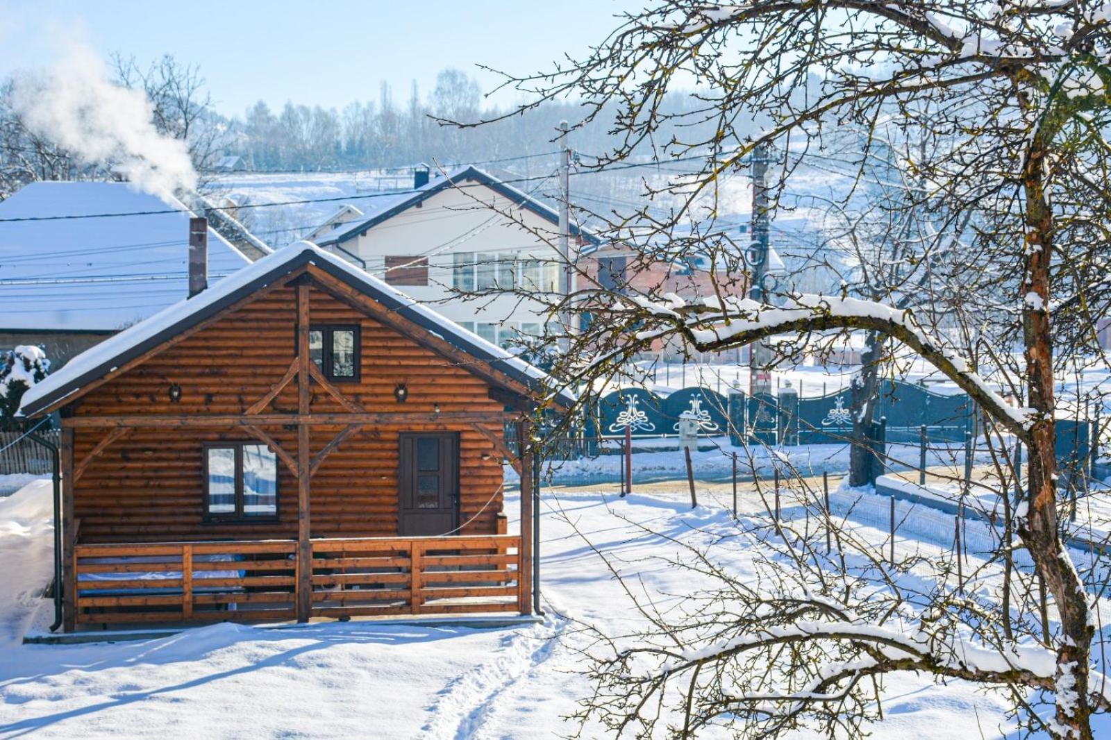Casuta Adelina Borsa Villa Bagian luar foto